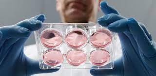 Check spelling or type a new query. Cell Based Vaccines Creative Biolabs