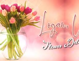 Orams florist llc is located near the cities of migrate, fayette county, and lexington fayette. The 8 Best Options For Flower Delivery In Lexington Kentucky 2021