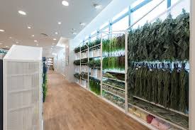 If nak beli kat kaison pun blh. Mrs Wawa Ashihara Anda Kaki Deco Jom Diy Rumah Dengan Deco Budget Kaison