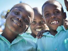 About the Iodine Global Network 31 Governance 29 Financial Statement 28  Communications & Fundraising 24 Country Highlights 1