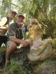 Check spelling or type a new query. 7 Texas Alligator Hunting Ideas Alligator Hunting Prehistoric Creatures Hunting