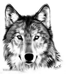 Pin By Tatjana Markelova On Cfggf Wolf Drawing Wolf Face Wolf Tattoos