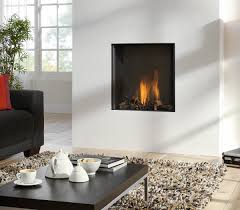 A gas insert offers all the comfort, warmth, and ambiance of a fire without the need note: Gas Fireplace Features