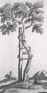This was a period around the seventeenth and most of the eighteenth centuries. Freedom And Resistance To Power Reconciling Foucault And Spinoza Exordium