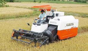 Puyat ave., 1200 makati city, philippines. Expert Create More Jobs By Modernizing Phl Agri Cai Ordinario