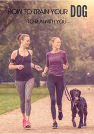 Do not reprimand your dog when he/she does not come to you How To Train Your Dog To Run With You Training Your Dog How To Train Your Dogs Running