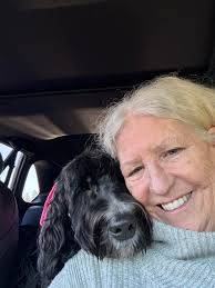 Lost Dog Found in Bridgeport