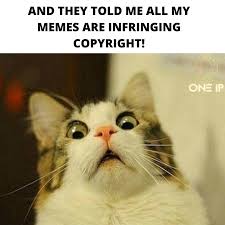 Ripe meme dump 50 wednesday album on imgur. How Effective Is Copyright Law On Memes In Australia A Straightforward Analogy One Ip