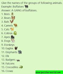Find the camel puzzle whatsapp. Give The Names Of The Groups Of Animals Puzzles World