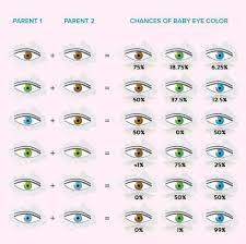 What Color Eyes Do Parents Have If I Have Green Google Search Eye Color Chart Eye Color Chart Genetics Baby Eye Color Chart