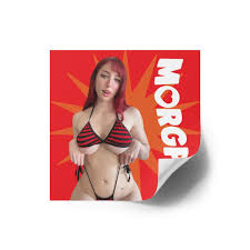 Amazon.com: Pegatinas cuadradas de Egirl Egirl Twitch Streamer Morgpie