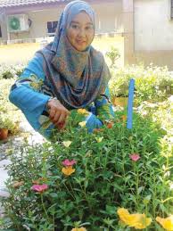 Pokok bunga ros jepun nama saintifiknya portulaca grandiflora merupakan tanaman jenis menjalar dan amat mudah dibiakkan melalui keratan dan biji benih benih. Usahawan Ros Jepun Harian Metro