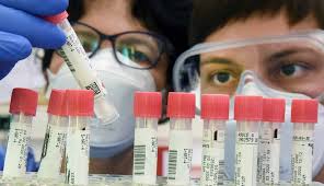 Nachweis Einer Infektion Was Schnelltests Auf Das Coronavirus Anzeigen Forschung Lehre