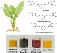 Check spelling or type a new query. Top Left Curcuma Longa With Flower And Rhizome Turmeric Curcuma Download Scientific Diagram