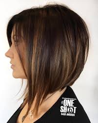 60 Hairstyles Featuring Dark Brown Hair With Highlights Hair Styles Thick Hair Styles Angled Bob Hairstyles