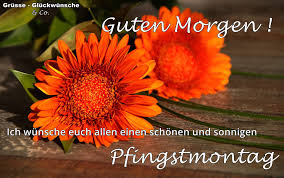 Grüße - Glückwünsche & Co. - ✿♡✿ Schönen Pfingstmontag euch allen ... ✿♡✿  ⊱✿ https://www.facebook.com/Gruesse.Glueckwuensche.und.Co/ ✿⊰ | Facebook