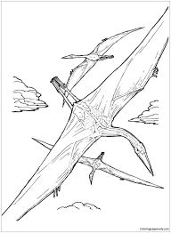 Color in this picture of a pterodactyl and others with our library of online coloring pages. Quetzalcoatlus Pterosaur Coloring Pages Dinosaurs Coloring Pages Coloring Pages For Kids And Adults