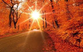 Herfst Wallpapers Herfstfoto S Met Afbeeldingen Achtergronden