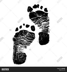Maybe you would like to learn more about one of these? Baby Footprints Image Photo Free Trial Bigstock