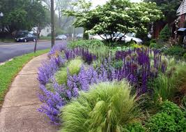 Inspired By Nature S Layers But Not Hung Up On Natives Only Front Garden Landscape Front Yard Landscaping Lawn Alternatives