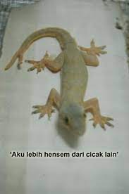 4d2u Com Website Statistik Keputusan 4d Yang Pertama Di Malaysia Analisis Terhadap Magnum Da Ma Cai Pmp 1 3d Sports Toto Singapura Sabah Special Cash Sweep Sandakan