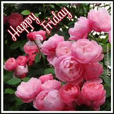 Wishing awesome good friday to everyone! Happy Friday Pic Gujaratipictures Com