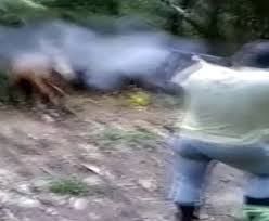  Homem mata animal equino com disparos efetuados por arma de fogo na zona rual de Acopiara-CE