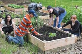 Growing supper at Fir Ridge Community Learning Center