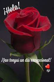 Amigo Excepcional Buenos Dias Con Rosas Buenos Dias Carino Saludos De Buenos Dias