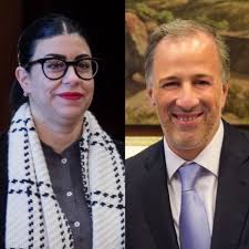 Por qué pidió licencia la senadora del PRI Vanessa Rubio y cuál es su  relación con el gobierno de Enrique Peña Nieto