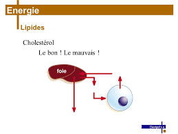 Formation Qualite Ppt Telecharger