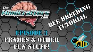 Breed the bees with any extra flowers that you have! Bee Breeding Tutorial Episode 3 Frames Other Fun Stuff By The Mindcrafters