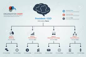 modern and smart organization chart in which apply icon into