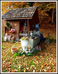 Herbst Im Garten Garten Gartenstruktur Gewachs