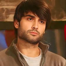 Vivian Dsena in Bigg Boss