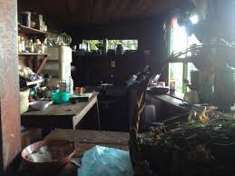 We did not find results for: Hippie Kitchen Southern Dispatch Off Exploring