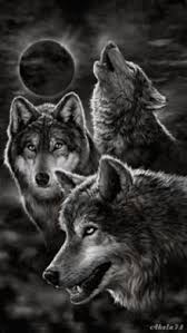 It is very haunting and i like how the winter landscape came out. Wolf Howling At Moon Gifs Tenor