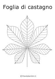 Disegni Di Frutta E Foglie Autunnali Da Colorare Foglie Autunnali Disegno Floreale Disegni Di Frutta