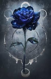 Fondos De Pantalla Para Celular In 2020 Rose Art Black Roses Wallpaper Blue Roses Wallpaper