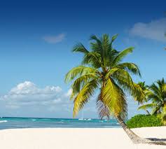 Wann bieten reiseveranstalter frühbucher angebote an? Fruhbucher Reisen 2021 2022 Urlaub Jetzt Bis 70