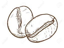 Maybe you would like to learn more about one of these? Coffee Beans Doodle A Hand Drawn Vector Doodle Illustration Of Coffee Beans Royalty Free Cliparts Vectors And Stock Illustration Image 58646082