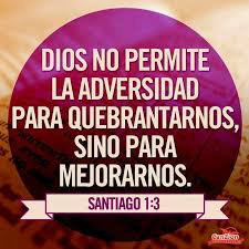 Pin De Coco Gomez Salazar En Bible Versiculos Frases Espirituales Versiculos Biblicos Palabra De Vida