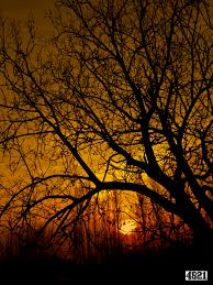 File:Sun sunset sekil resim ordubad best best sozlu quotes nece azerbaijan  natura natural photo photos gunbatimi gunes profil resimleri yukle doWnload  endir indir.JPG - Wikimedia Commons