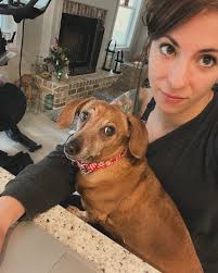 NorthPoint Pets & Company