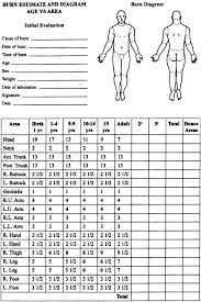 Parkland formula for burn management. Burns Springerlink