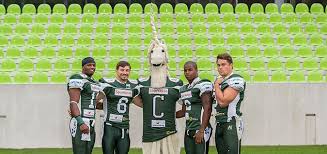 Einen pokal gab's dieses jahr leider nicht zu bewundern, doch „corny, das maskottchen der schwäbisch hall unicorns, freute sich beim empfang in „hall mit 1200 zuschauern über den. Neues Stadion Fur Die Unicorns Osterreichs Football Portal