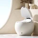 What are the disadvantages of smart toilets? - Royal Toiletry ...