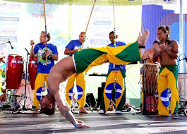 Image result for Alafia zambesiaca