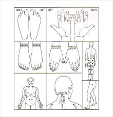 comprehensive sujok points chart free sujok acupuncture