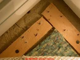 Free delivery and returns on ebay plus items for plus members. Carpet Padding Guide To Asbestos Mold Odor Problems Solutions